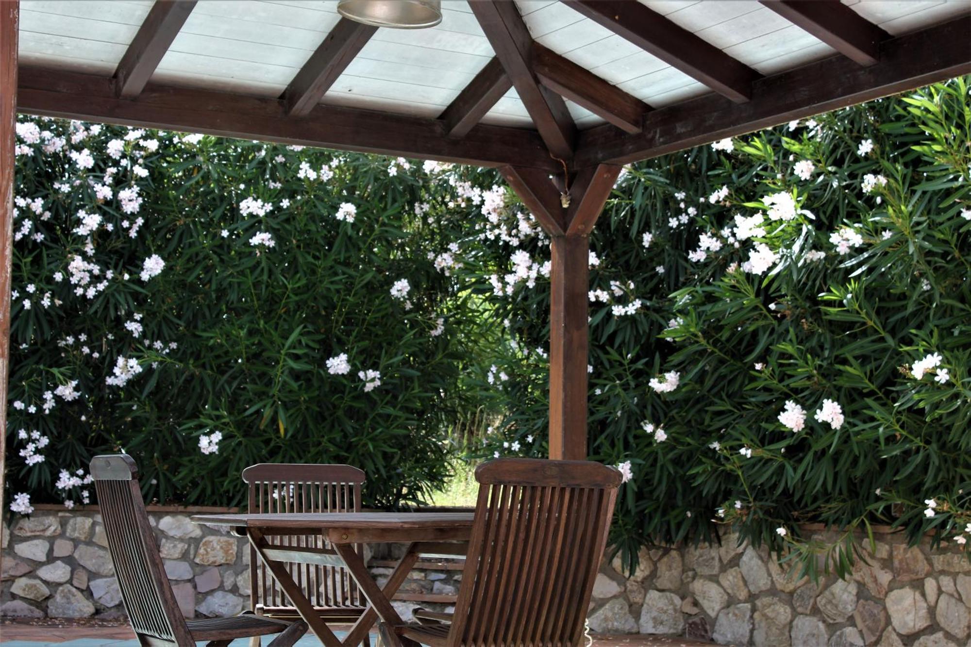 Residence Les Oliviers Porto Azzurro Exterior foto